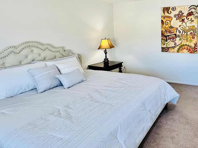 34801 Star Jasmine Pl — Photo 29