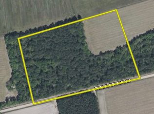 Turner Estate Rd LOT WP004, Scranton, SC 29591