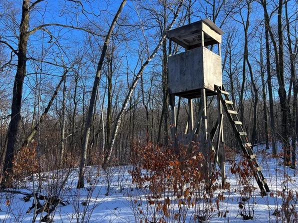 Xxxx1 Candor Hall Rd, Vergas, MN 56587