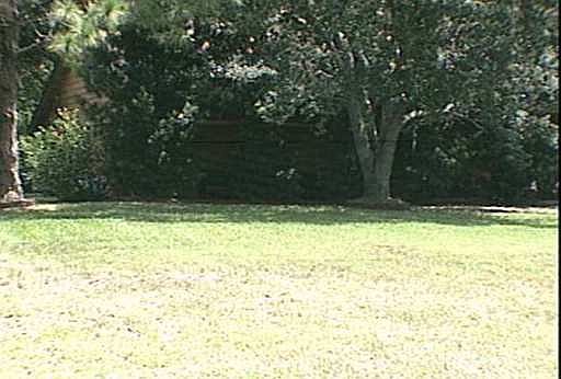 1st image of 1446 21st Pl SW