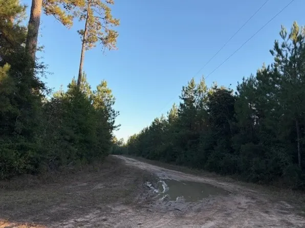 0 County Road 1875, Livingston, TX 77664