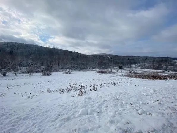 16725 State Highway 8, Masonville, NY 13804