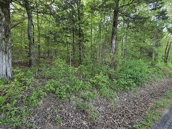 4th image of 0 Red Bank Creek Rd