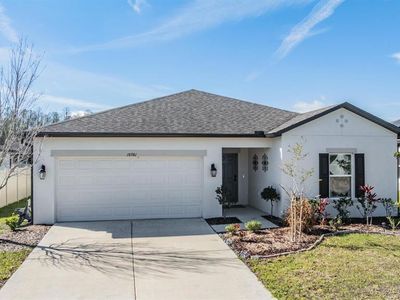 18981 Alfaro Loop, Spring Hill, FL, 34610