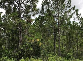 19703 Lansdowne St, Orlando, FL 32833