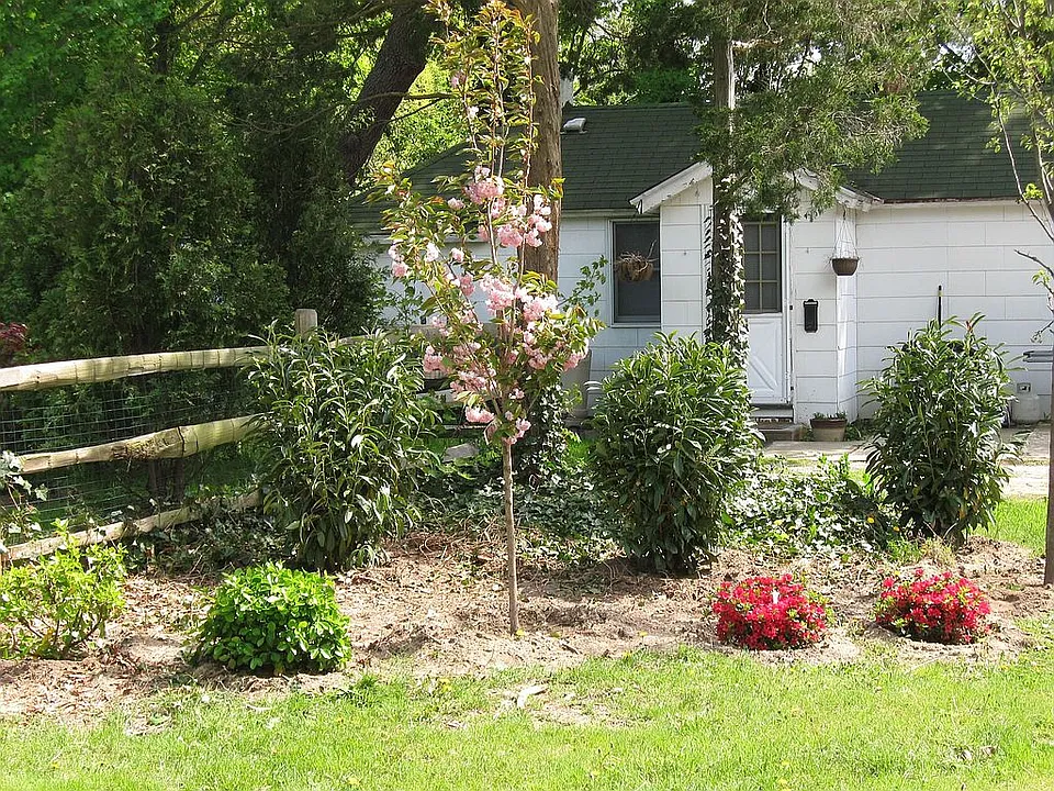 Cottage for rental income