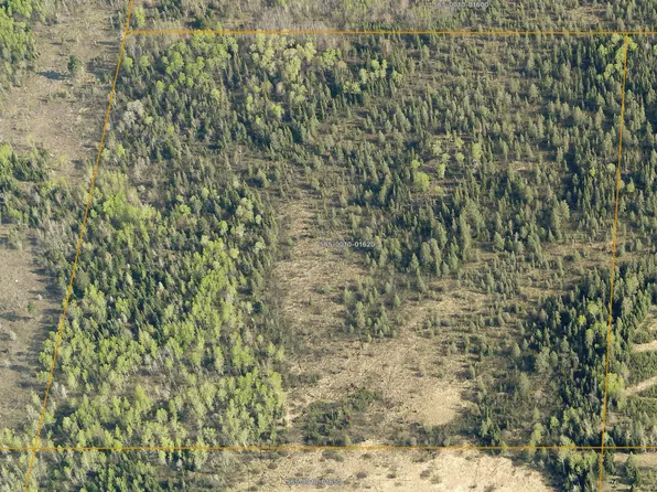 Pulkinen Rd, Embarrass, MN 55732