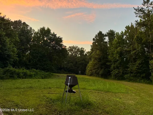 State Highway 553, Fayette, MS 39069