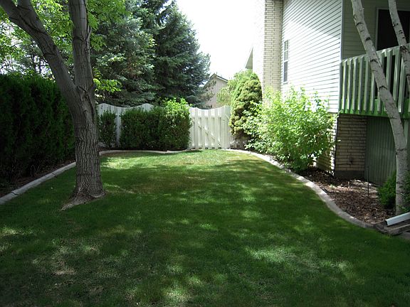 South side yard.