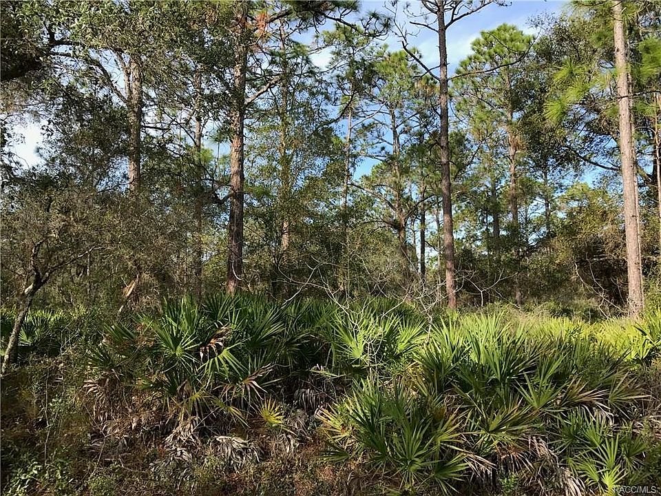 1st image of 9136 N Blue Spruce Ter