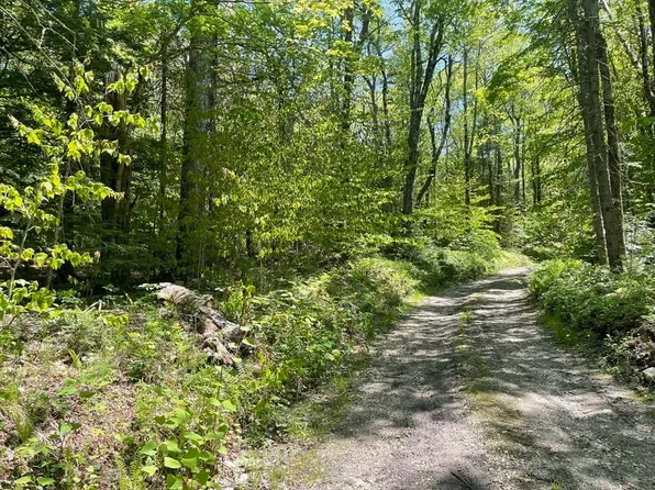 0 Pierce Rd, Hinsdale, MA 01235