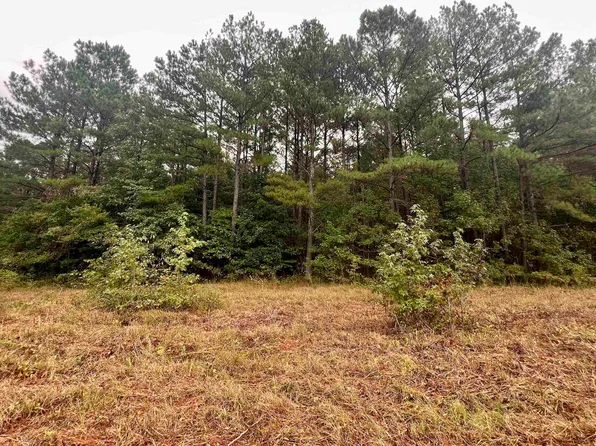 0 County Road 87, Waterloo, AL 35677