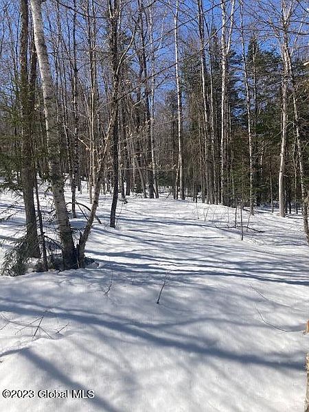 3rd image of L12.000 Northwoods Club Road