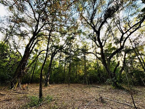 2nd image of E Moran Rd