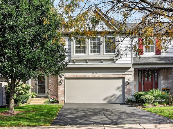 1728 Napoleon Dr, Naperville, IL 60565
