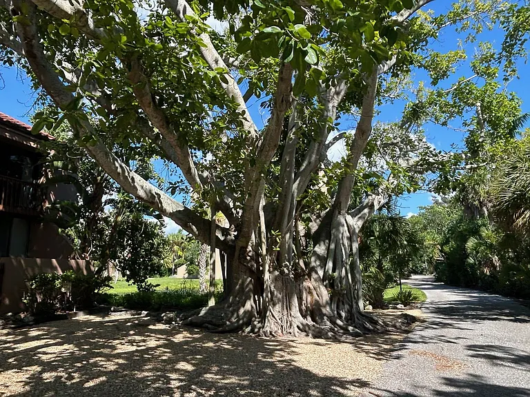 111 Pass Key Rd — Photo 16