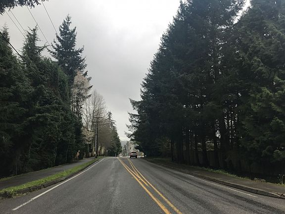 4th image of 18329 132nd Pl NE