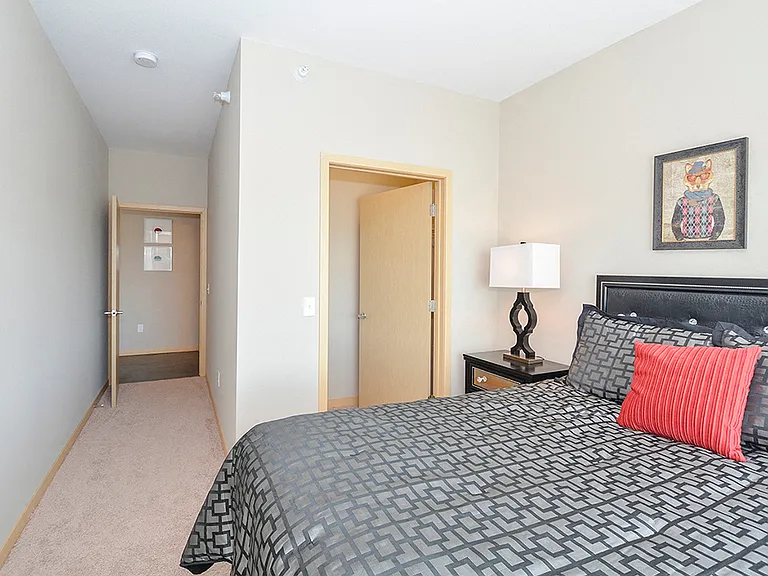 Bedrooms with Large Closets