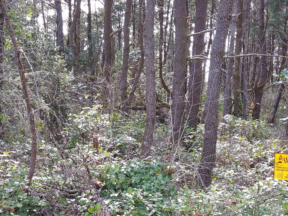 2nd image of 216TH Ln