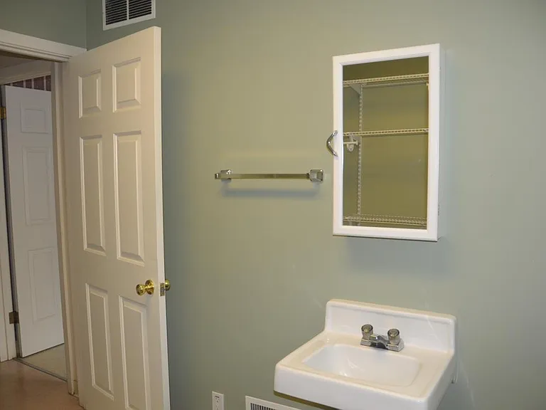 Walk in closet 1 with sink and mirror