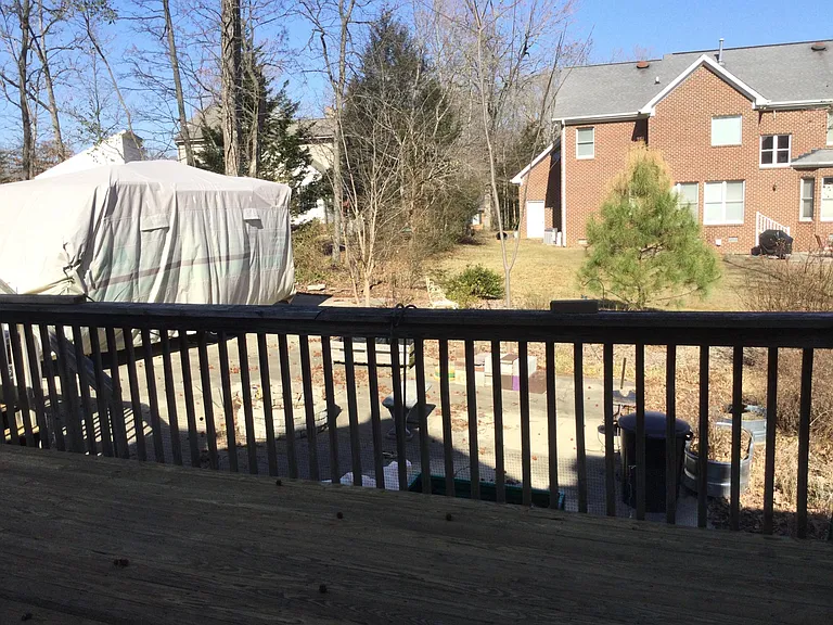 Looking out from the back deck.