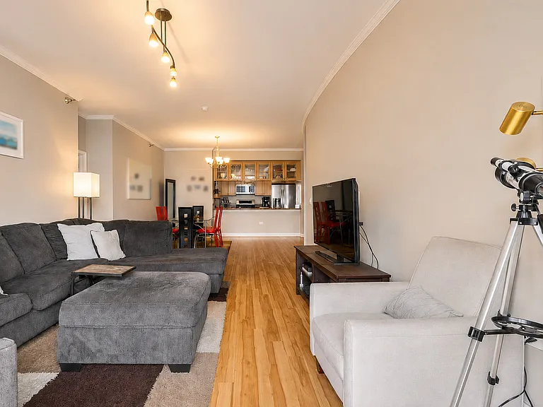 1335 S Prairie Ave #1409 — Photo 6