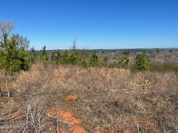 5th image of 355.7 Horseshoe Road