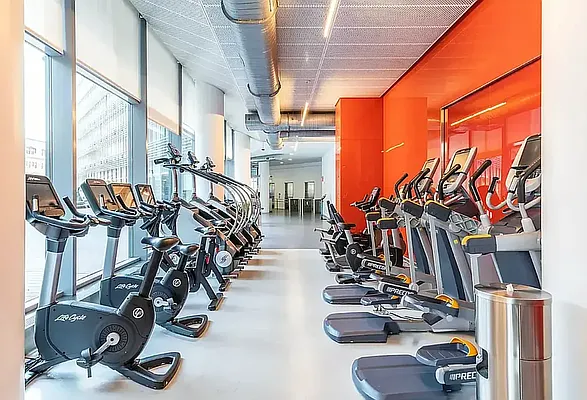 Rented by Platinum Properties | media 19