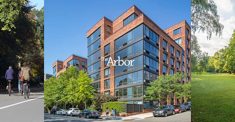 The Arbor