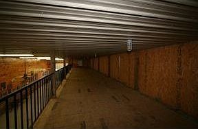 5th image of 483 Sea Biscuit Ct