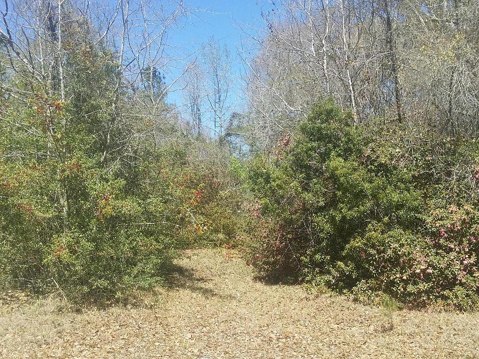 2nd image of 6020 Mellard St