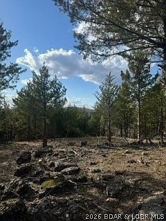 1st image of Little Indian Rd