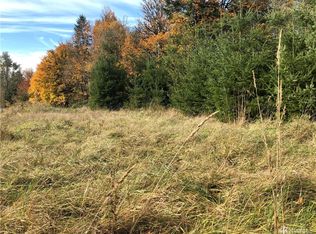 19419 Michigan Hill Rd SW, Rochester, WA 98579