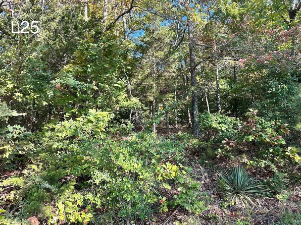 Enid Dr, Cherokee Village, AR 72529