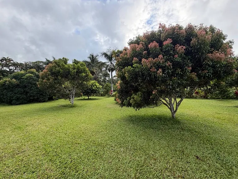 Kuhio Hwy — Photo 17