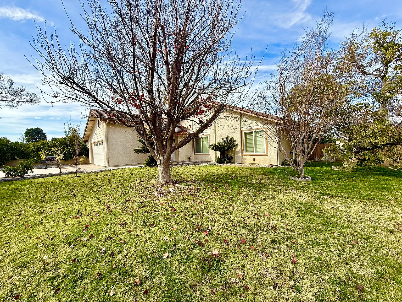 3 bed, 1427 sqft, $3,500 — Photo 3