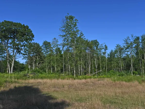 PARCEL G F #30, Greenbush, MI 48738