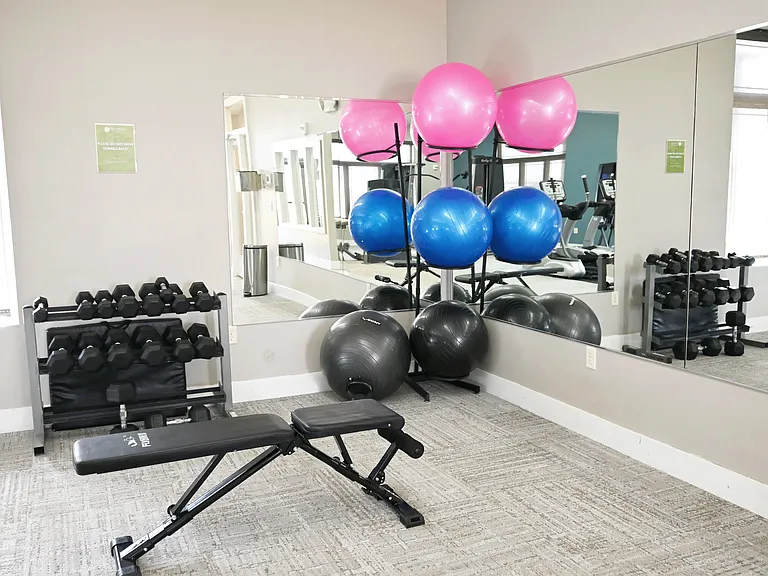 Dumbells and yoga balls in the gym at The Sterling.