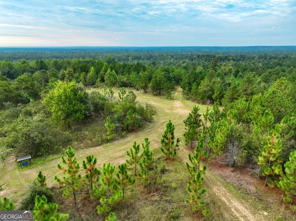 V/l Butler Rd, Milledgeville, GA 31061