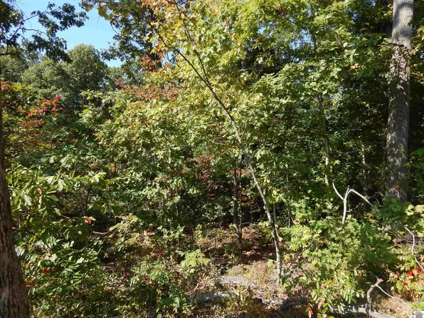 39 Wallace Cemetery Ln, Gilbertsville, KY 42044