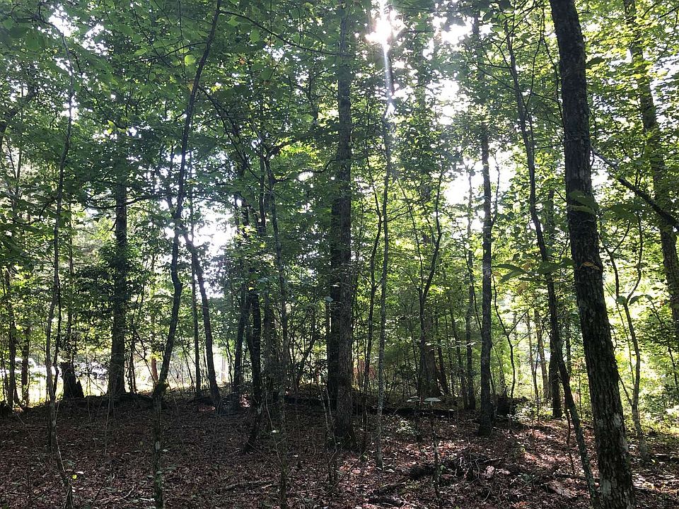 1st image of LT 13 Pine Ln