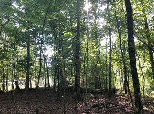 LT 13 Pine Ln, Mineral Bluff, GA 30559