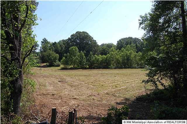2nd image of 0 Horn Lake Rd
