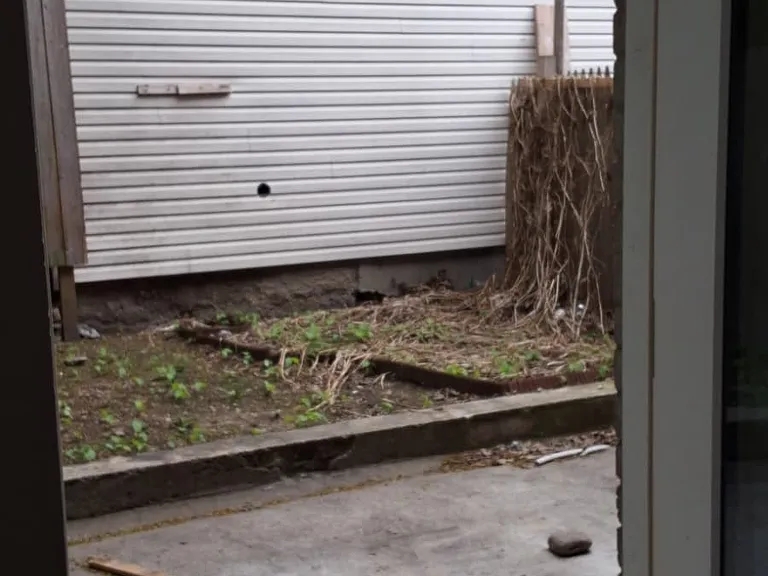 141 William St #3 — Photo 9