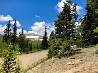 943 Zebulon St, Alma, CO 80420