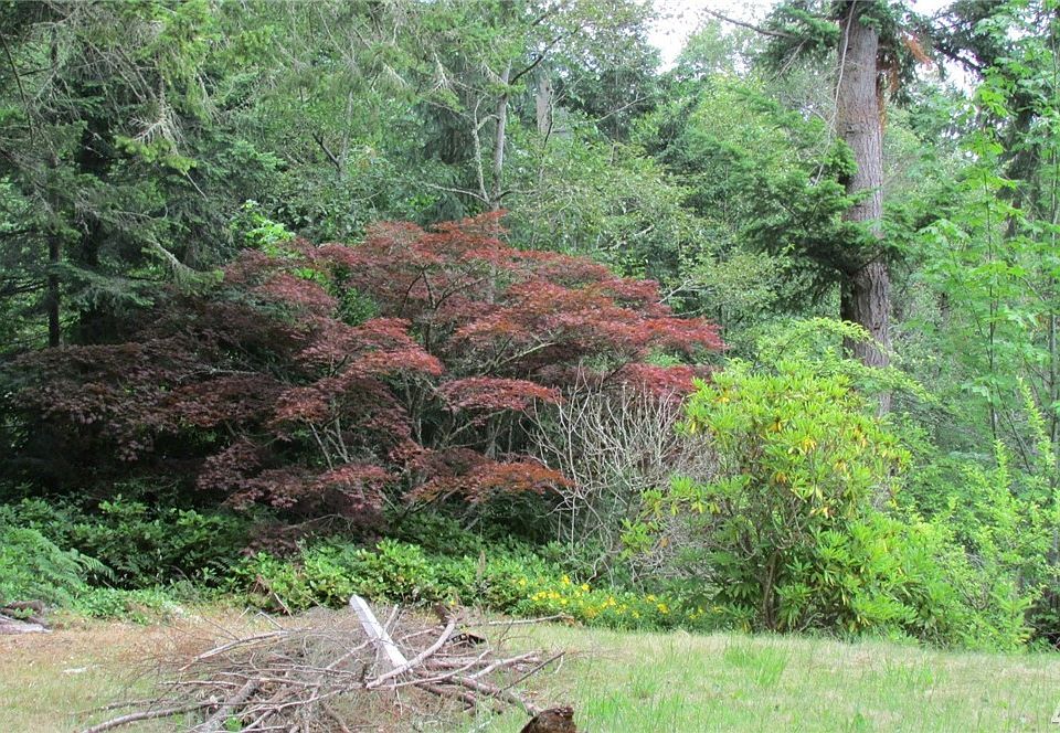 Mature trees and natural landscape grace the property.