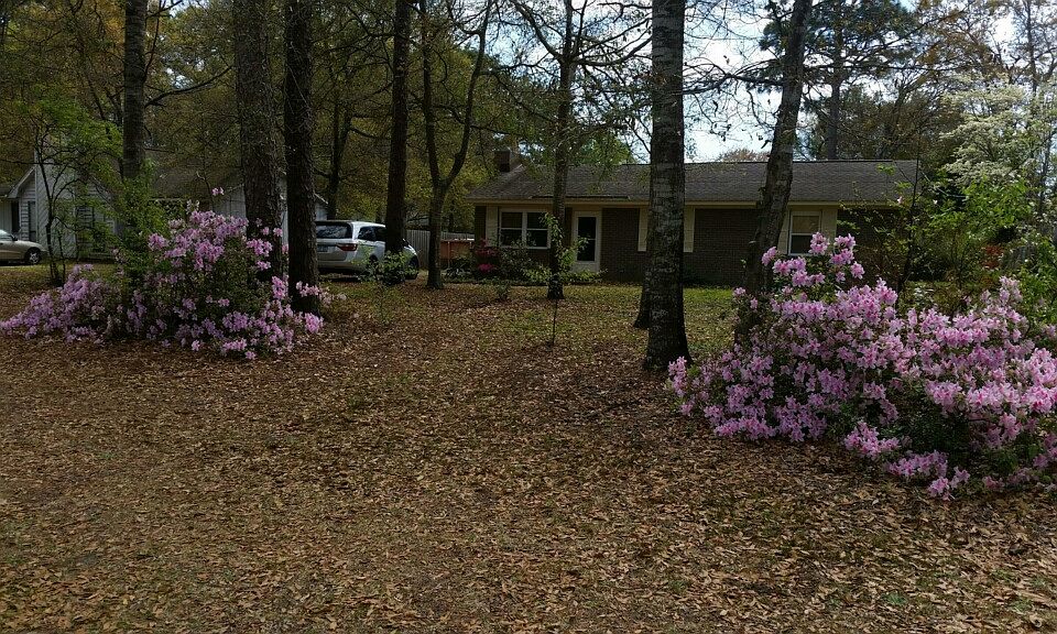 2nd image of 311 Stuart Ave