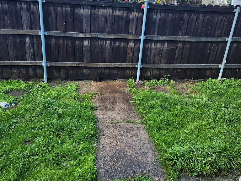 Fenced backyard