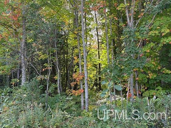 5th image of Tbd Pontiac Rd