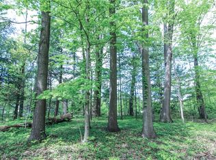 0 Norton Rd, Hudson, OH 44236